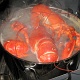 Cooking lobster at the campsite :).