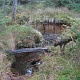Here is another crossing, seems like there used to have a bridge there but now only left the 2 log sticking out the puddle.