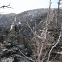 Views of Wildcat Ridge.