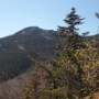 Summit of Mt Chocorua.