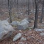 Stonewalls marked the property line.