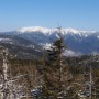 Nice views of Franconia Ridge from the junction.