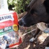 Doggie trail mix. Special treat for special pooch.